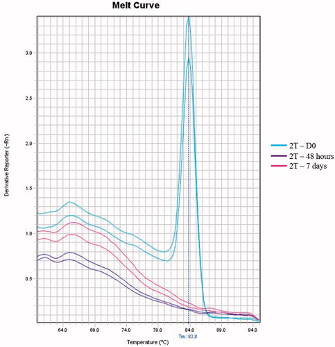 Figure 1. Melting curve of the qPCR corresponding to the three time points. The full-term newborn (2T) with confirmed sepsis caused by S. agalactiae presented a bacterial load of 120.9 CFU/mL in the first sample evaluated (day 0 – blue lines). The bacterial loads at 48 h (purple lines) and on the seventh day (pink lines) were undetected.