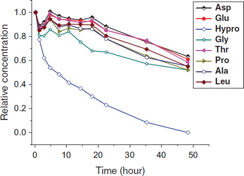 Figure 5. Relative content change of amino acids in rabbit blood after transfusion of succinylated gelatin plasma substitute.