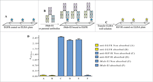 Figure 9. Schematic representation and data of the EGFR ELISA transfer assay. (A) EGFR was immobilized on the ELISA plate, (B) and incubated with iMab-EI or the 2 parental antibodies. The well volume of the iMab-EI or the parental antibodies pre-absorbed on an EGFR-coated ELISA plates (C) were transferred to an ELISA plate with immobilized IGF1R, (D) followed by detection of binding using an anti-human-lambda-HRP labeled antibody.