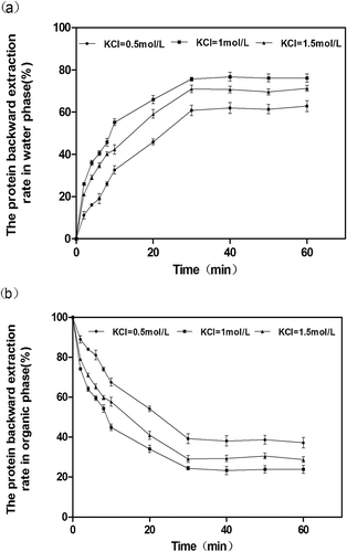 FIGURE 4 The protein backward extraction rate versus time for the effect of [KCl], pH on the aqueous phase 7, temperature 35°C. (a) Effect of [KCl] on the protein backward extraction rate in water phase with variation of the time. (b) Effect of [KCl] on the protein backward extraction rate in organic phase with variation of the time.