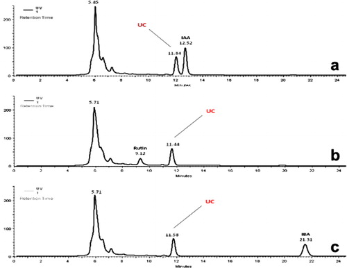 Figure 4. HPLC–UV chromatograms of samples from the co-culture of P. pinea plantlet and P. arhizus collected on day 2 spiked with IAA (a), rutin (b), and IBA (c). Peaks at Rt 11.84, 11.44, and 11.58 min correspond to the unknown compound (UC).
