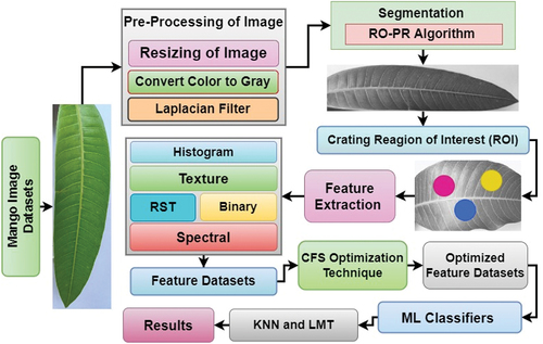 Figure 6. The Framework of Mango Leaves Classification.