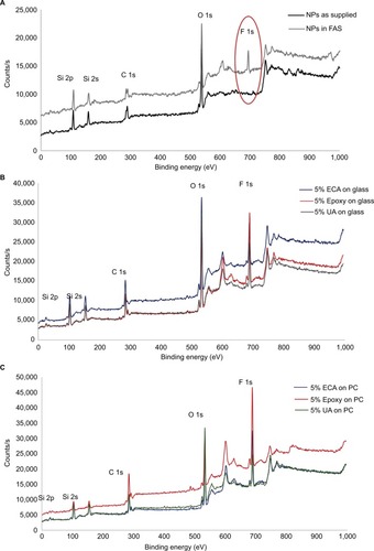 Figure 2 Scanning electron microscopy of surface morphology with increasing epoxy wt% on two different substrates.