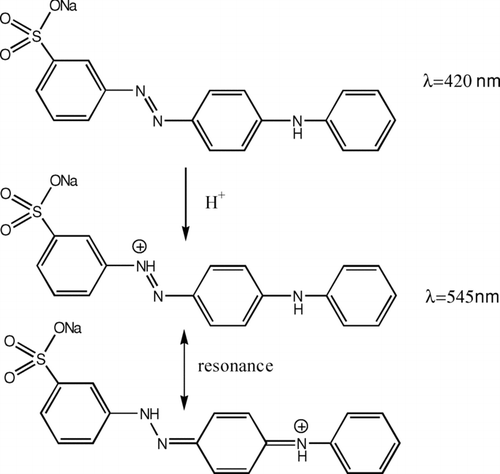 FIG. 1 Molecular structures of metanil yellow and protonated metanil yellow.