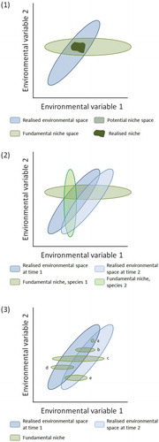 Figure 15. (1) Fundamental, potential, and realised niches of a species in response to two environmental variables. The realised niche is where populations of the species actually occur and is a subset of the potential niche constrained by biotic, abiotic, and other factors. The potential niche is where the fundamental niche intersects with the realised environmental space at a particular time. (2) A schematic representation of how changes in the realised environmental space between time 1 and time 2 can affect species co-occurrences. At time 1, the potential niches of species 1 and species 2 overlap and the species can potentially co-occur at sites within the intersection. At time 2, the potential niches of the two species do not overlap and hence they will not co-occur in the realised world. (3) The four modes of population response of five species (a-e) to environmental change. Species a mode 1: persistence. Species b modes 1 and 2: shift within local habitat conditions. Species c modes 1, 2, and 3: spread to distant newly-suitable sites and disappear from some former sites. Species d modes 1 and 4: widespread extirpation without colonisation of new areas, thereby changing from being a widespread species to a local or rare species. Species e is the inverse of species d where a formerly rare species colonises extensive new areas. Redrawn from Jackson and Overpeck (Citation2000).