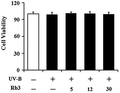 Fig. 3. Effect of Rb3 on cellular viability in HaCaT keratinocytes under irradiation with 70 mJ/cm2 UV-B radiation.
