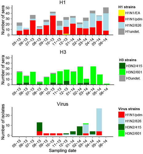 Fig. 6 Serological and virological distributions of different influenza A strains across time in slaughterhouses.Undet. undetermined strain, i.e., HI titer positive to several H1 or H3 strains with a titer difference < 4-fold. Viruses were isolated at the collective slaughterhouse