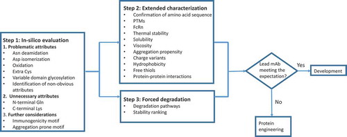 Figure 2. Workflow of structural and CMC liabilities assessment.