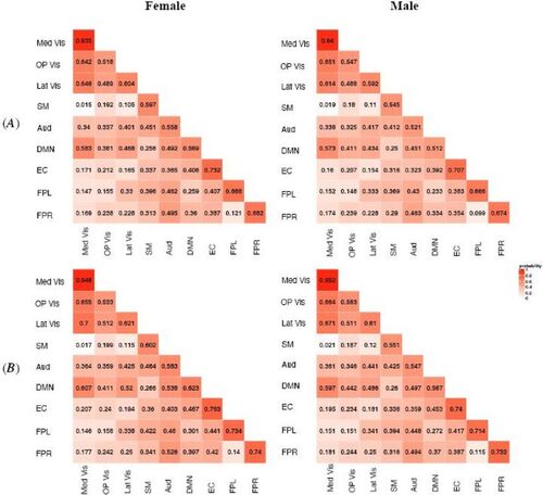 Fig. 2 MMM estimated probabilities of latent structural connection (SC) in different subject groups. Row (A) represents the younger group (Age 8–15) and Row (B) represents the older group (Age 16–21). The numeric value in each module block indicates the estimated probability and the color shade indicates the magnitude of the probability. Within-module SC is stronger compared with between-module SC. Modules with similar functionality, for example, Med Vis, OP Vis and Lat Vis, are found to have stronger SC.