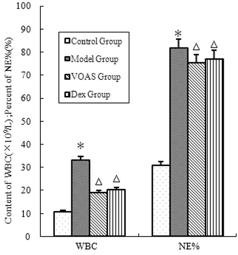 Figure 1. The influence of VOAS on blood routine of rats. Note: Compared with the control group, *represents significant increase (p < 0.05); compared with the model group, delta represents significant decrease (p < 0.05).
