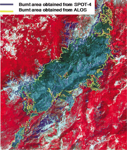 Figure 3.  Perimeter of burnt areas derived from SPOT-4 (yellow outline) and ALOS AVNIR-2 images (red outline).