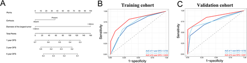 Figure 4 (A) Nomogram for predicting the probability of disease-free survival at 1, 3, and 5 years. Each predictor corresponds to a specific point by drawing a line straight upward to the points axis. The sum of the points is located on the total points axis, and this sum represents the probability of disease-free survival. (B) ROC curves in the training cohort. (C) ROC curves in the validation cohort.