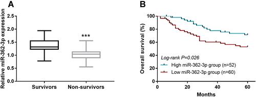 Figure 2 Relationship of miR-362-3p expression with NPC patient survival. (A) Expression levels of miR-362-3p in NPC tissues from non-survivors and survivors in patients. (B) Low miR-362-3p expression was associated with short survival of NPC patients (log-rank P = 0.026). ***P < 0.001 vs Survivors.