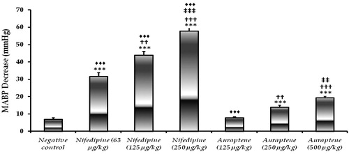 Figure 2.  Hypotensive activity of different auraptene doses compared to negative control. ***: p < 0.001 (comparison with negative control); ††: p < 0.01, †††: p < 0.001 (comparison with the lowest dose of respective treatment); ‡‡: p < 0.01 (comparison with the medium dose of respective treatment; ♦♦♦: p < 0.001 (comparison with auraptene 500 μg/kg).