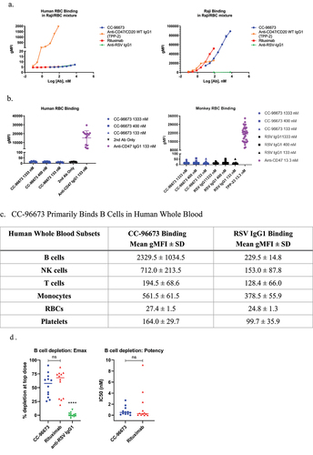Figure 2. CC-96673 selectively binds to CD47+CD20+ cells and depletes autologous B cells in human whole blood. (a) CC-96673 binds CD47+CD20+ cells in the presence of excess CD47-only expressing RBCs. Purified human RBCs and Raji cells were combined at a ratio of 10:1 prior to incubation with test antibodies and secondary antibody staining. (b) CC-96673 does not bind to human or cynomolgus monkey RBCs. Purified RBCs were incubated with the indicated concentrations of test antibodies prior to secondary antibody staining. (c) CC-96673 binds primarily to B cells in human whole blood. Whole blood was stained with a fluorochrome-conjugated antibody mix recognizing immune cell subsets (anti-human CD14, CD19, CD56, and CD3) and containing either AF647-labeled CC-96673 or the non-targeting anti-RSV IgG1. Binding to RBCs and platelets was done separately using anti-human GYPA and CD41a, respectively. All cell binding was assessed by flow cytometry and gMFI ± SD is reported. (d) CC-96673 depletes autologous B cells in human whole blood. Whole blood samples were incubated with CC-96673, rituximab or anti-RSV IgG1 for 24 hours, prior to staining and RBC lysis. The percent CD19+ B cell death was determined by flow cytometry. Emax represents percent depletion at the top antibody concentration and IC50 was calculated from each dose response curve. Graphs show the median of individual values from 12 donors. Significant differences assessed by one-way ANOVA using uncorrected Fisher’s LSD. ****p < .0001, ns = no significance.