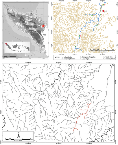 Figure 1. Location of the study sites (sampling locations with green dot, Merbau River indicated with red line).