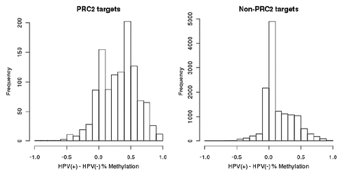 Figure 5 Promoter regions of polycomb repressive complex 2 (PRC2) targets tend to be much more highly methylated in HPV(+) cells than in HPV(−) cells, compared to promoters of non-PRC2 targets. Displayed are histograms of difference in percent methylation between HPV(+) and HPV(−) cells from the Illumina Infinium HumanMethylation27 BeadArray platform.