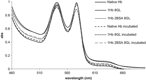 Figure 4. UV–vis spectra of GL-polymerized Hbs as prepared and after incubation at 37°C for 4 h.