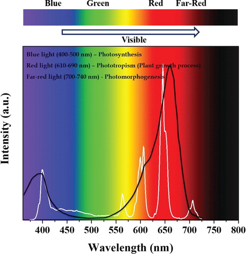 Figure 23. LED emission spectrum of the fabricated LED (Li3BaSrY3(WO4)8:Sm3+) and absorption of phytochrome Pr.