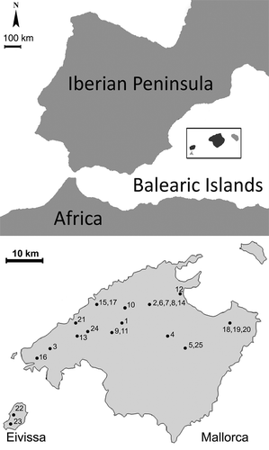 Figure 1. Map of Balearic Islands (upper part) and map with distribution of the apiaries investigated (lower part). Collection sites: 1, 9, 11 – Binissalem; 2, 6, 7, 8, 14 – Campanet; 3 – Puigpunyent; 4 – Llubí; 5, 25 – Petra; 10 – Biniamar; 12 – Pollença; 13 – Esporles; 15, 17 – Soller; 16 – Andratx; 18, 19, 20 – Artá; 21 – Estellencs; 22, 23 – Eivissa; 24 – Orient.