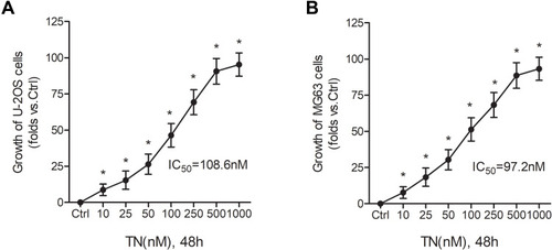 Figure 1 TN inhibits osteosarcoma cell growth. (A and B) Effect of TN on the viability of human osteosarcoma cells (MG63 and U-2OS cells). Cells were treated with various concentrations of TN for 48h and viability was measured by MTT assay. The inhibition rate and IC50 values are presented. The statistical difference *P<0.05 compared to the control group.