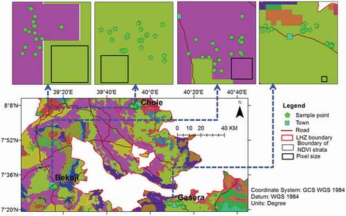 Figure 4. Distribution of sample points from the survey strata in Arsi, West Arsi and Bale Zones.