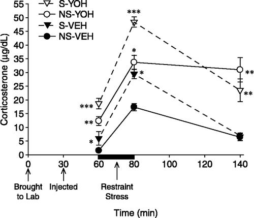 Figure 9 Serum corticosterone responses in Experiment 4. On Day 33 of Experiment 4, rats were given yohimbine (1 mg/kg, i.p.) or vehicle. The psychosocial stress and yohimbine-treated groups exhibited greater serum corticosterone concentrations 30 min post-injection (60 min time point) than the no psychosocial stress and vehicle-treated groups, respectively. Corticosterone levels were increased in all groups following 20 min of restraint (indicated by the dark black line between 60–80 min); the increases were greater in groups that had been psychosocially stressed and/or pre-treated with yohimbine. Psychosocial stress and yohimbine treatment had an additive effect on corticosterone levels at each of the first two time points: the group that had been psychosocially stressed and pre-treated with yohimbine (S-YOH) exhibited the greatest corticosterone levels at both time points. While corticosterone levels of the two vehicle-treated groups (S-VEH, NS-VEH) significantly declined 60 min following the cessation of immobilization, those of the two yohimbine-treated groups (S-YOH, NS-YOH) remained elevated. *p < 0.05 versus the no psychosocial stress-vehicle group; **p < 0.05 versus psychosocial stress-vehicle and no psychosocial stress-vehicle groups; ***p < 0.05 versus all other groups. Data are group means ± SEM.