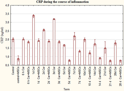 Figure 3 The levels of CRP for groups with the ordinary course of inflammation and inflammation on the background of MSCs. Data are represented as means ± SEM of 6 animals for each group. (One-way ANOVA and Tukey-Kramer multiple comparisons test, p<0.05).