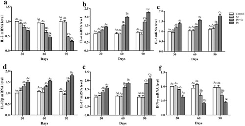 Figure 3. IL-2, IL-4, IL-6, IL-12β, IL-17, and IFN-γ mRNA expression in chicken hearts.