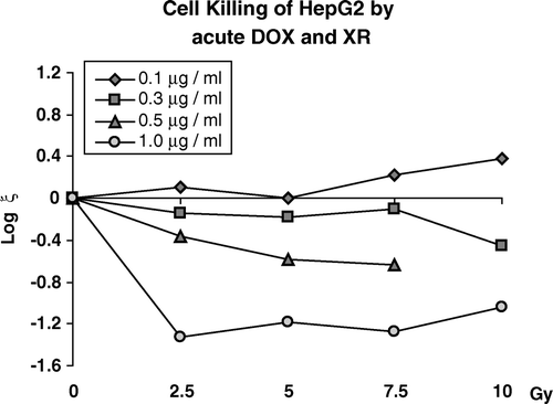 Figure 4.  Increased killing beyond independent action (ξ) expressed in logs10 for pretreatment with DOX at concentrations of 0.1, 0.3, 0.5 or 1.0 µgm/ml for one hour followed immediately by acutely delivered XR.