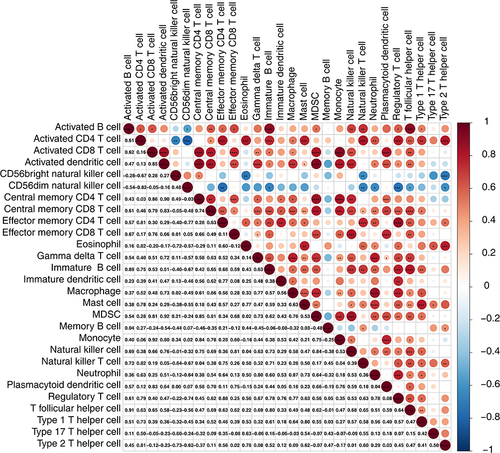 Figure 4 Immune cell correlation analysis. *P < 0.05, **P < 0.01, ***P < 0.001, ****P < 0.0001.