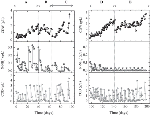 Figure 1. Microbial biomass growth and nitrogen and carbon uptake throughout the operation of the bioreactor with partial (left, A, B, C) and complete (right, D, E) nitrogen limitation.