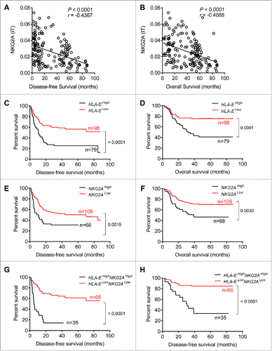 Figure 4. Shorter survival of patients with higher densities of HLA-E+ and NKG2A+ cells within tumors. (A, B) Correlations between DFS or OS and integrated optical density (IOD)/area of NKG2A+ cells in the IT regions of HCC patients (N = 177). Spearman's correlation coefficients (r) and p values are shown. (C–H) Kaplan–Meier survival curves for the duration of DFS (left) and OS (right) in months, according to the HLA-E+ cells density (C, D), NKG2A+ cells density (E, F) or both NKG2A+ and HLA-E+ cells density (G, H) in IT (low densities, red line; high densities, black line) (log-rank test).