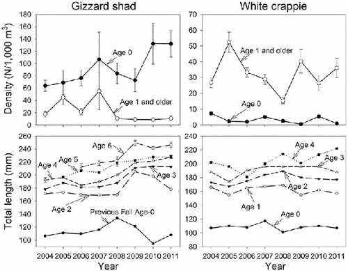 Figure 4. Mean July–October or early November density (N/1000 m3) of age-0 (filled circle) and age-1 and older (open circle) and mean total length (TL) at age for gizzard shad and white crappie in Long Branch Lake, 2004–2011. Error bars are SE. Mean TL at age was estimated from white crappie collected in the fall and gizzard shad collected in the spring except that fall age-0 gizzard shad were used to estimate first year growth in lieu of age-1 fish collected in the spring. Sample sizes for density estimates are 48 trawl tows for 2005–2009 and 2011 and 60 trawl tows for 2004 and 2010. Sample sizes averaged 280 fish (range, 80–409) for age-0 gizzard shad, 155 fish (range, 3–695) per age class for age 1 and older gizzard shad, 89 fish (range, 37–256) for age-0 white crappie, and 63 fish (range, 5–344)) per age class for age 1 and older white crappie (based on length–age keys applied to the entire sample).