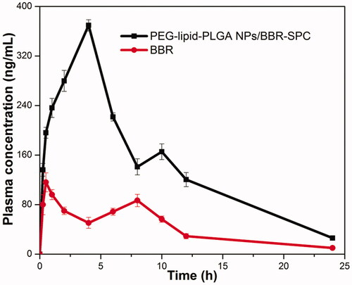 Figure 6. The profiles of the plasma BBR level versus time among the rats after oral administration of BBR and PEG–lipid–PLGA NPs/BBR–SPC. The data are presented as the mean ± SD (n = 6).