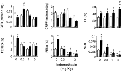 Figure 1.Effects of indomethacin on renal function in sham-operated (□) and bile duct litigated (▄) rats four days after surgery. A single dose of indomethacin was administered i.v. one hour before clearance studies. Data are mean ± SEM. Numbers within the columns indicate the number of animals in the group.*p<0.05 as compared with sham-operated rats without treatment with indomethacin.†p<0.05 as compared with BLD-rats without treatment with indomethacin.#p<0.05 as compared with sham-operated rats treated with equal dose of indomethacin.