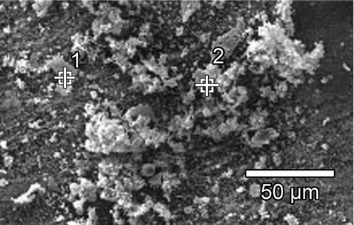 FIG. 12 SEM picture of generated CuPc particles (agglomerated) analyzed with EDX.