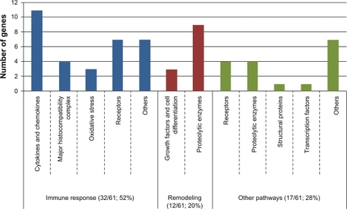 Figure 3 Classification of the 61 main associated genes with asthma into biological functions.
