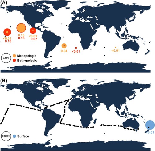 Figure 7. Global distribution pattern maps of two heterotrophic nanoflagellates, showing relative abundance of amplicon sequence variants (ASVs) of the V4 region of 18S rDNA, generated using the MicroMap web application (https://micromap.icm.csic.es/). (A) Two vertical depth profiles (mesopelagic and bathypelagic) of ASVs matching Ancyromonas kenti. (B) Relative abundance of ASVs matching Multimonas media at surface regions. Black circles indicate sampled sites with absence of the ASV.