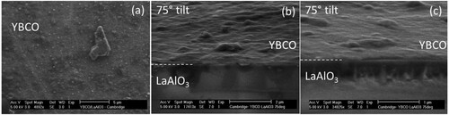 Figure 1. Microscopy images of a YBCO film grown onto LaAlO3 substrate at different magnifications. (a) SEM micrographs took from the top view and tilted views ((b) and (c)).