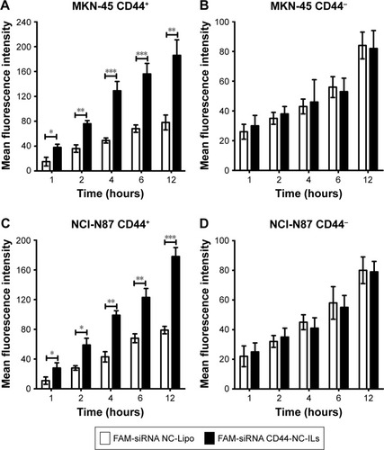 Figure 3 The in vitro targeting of fluorescent liposomes to gastric cancer cells which were incubated with fluorescent liposomes (200 nM FAM-siRNA) for different lengths of time.