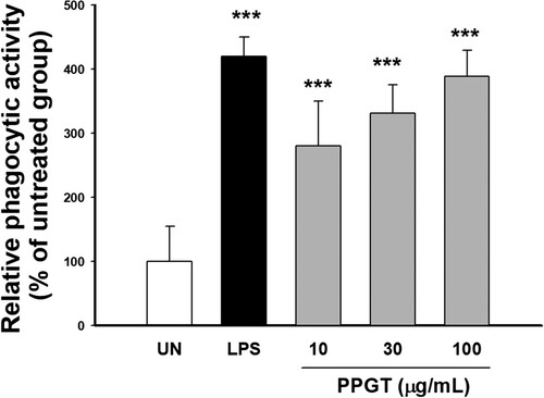 Figure 4. Effect of PPGT on phagocytosis. RAW264.7 cells were treated with 10, 30, or 100 μg/mL PPGT or 1 μg/mL LPS (as a positive control) for 24 h, before being incubated with FITC-labeled E. coli for 2 h. Phagocyosed bacteria was measured with a fluorescence microplate reader. The values shown are means ± SD. **p < .01, ***p < .001 compared with the untreated (UN) group.