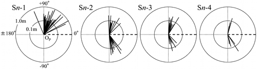 Figure 7. Diagram of the creeping direction and the length in the creeping part of secondary suckers. The side on which Sn-1 was attached was regarded as a positive angle. The dashed line ( – ) shows the creeping direction of the mother stem. The thick solid line (—) shows the creeping direction and the secondary sucker length. The length is represented with a logarithmic scale. The outside circle and the inside circle around OP, respectively, denote 1.0 m and 0.1 m in distance from OP.