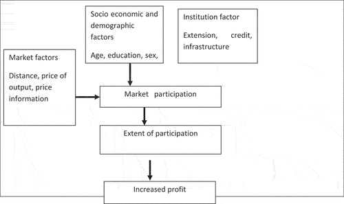 Figure 1. The conceptual framework used for the research. Source: own conceptualization.