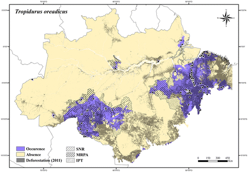Figure 125. Occurrence area and records of Tropidurus oreadicus in the Brazilian Amazonia, showing the overlap with protected and deforested areas.