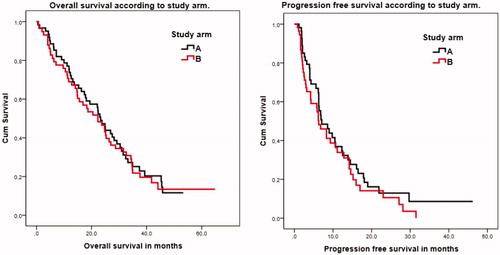 Figure 2. Overall survival and progression-free survival in the two study arms.