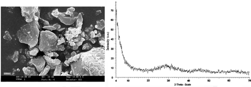 Figure 5. SEM image (left) and XRD pattern (right) of the amorphous TiO2 powder dried at room temperature under vacuum.