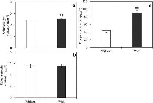 Figure 6. Effects of A. baimaensis VOCs on contents of soluble sugar (a), soluble protein (b), and free proline (c) of E. nutans. ** indicant significant difference than CK (P ≤ .01), * indicant significant difference than CK (P ≤ .05), and vertical bars indicate ± SE of mean.