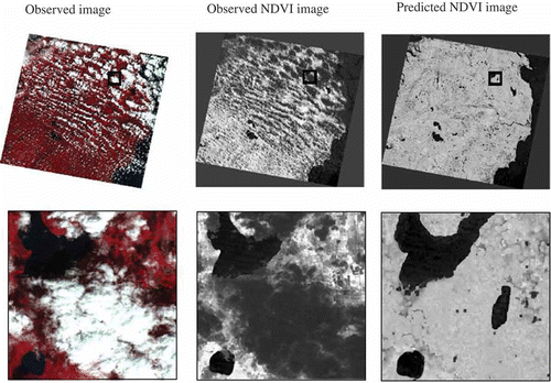 Figure 3. TM 20100914: observed versus predicted NDVI image.