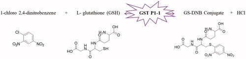 Figure 2. GST P1-1 enzymatic reaction.